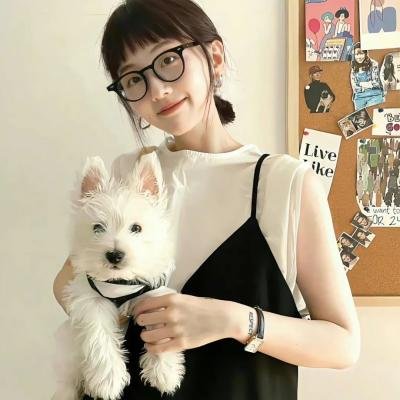 DC超级英雄美少女第一季