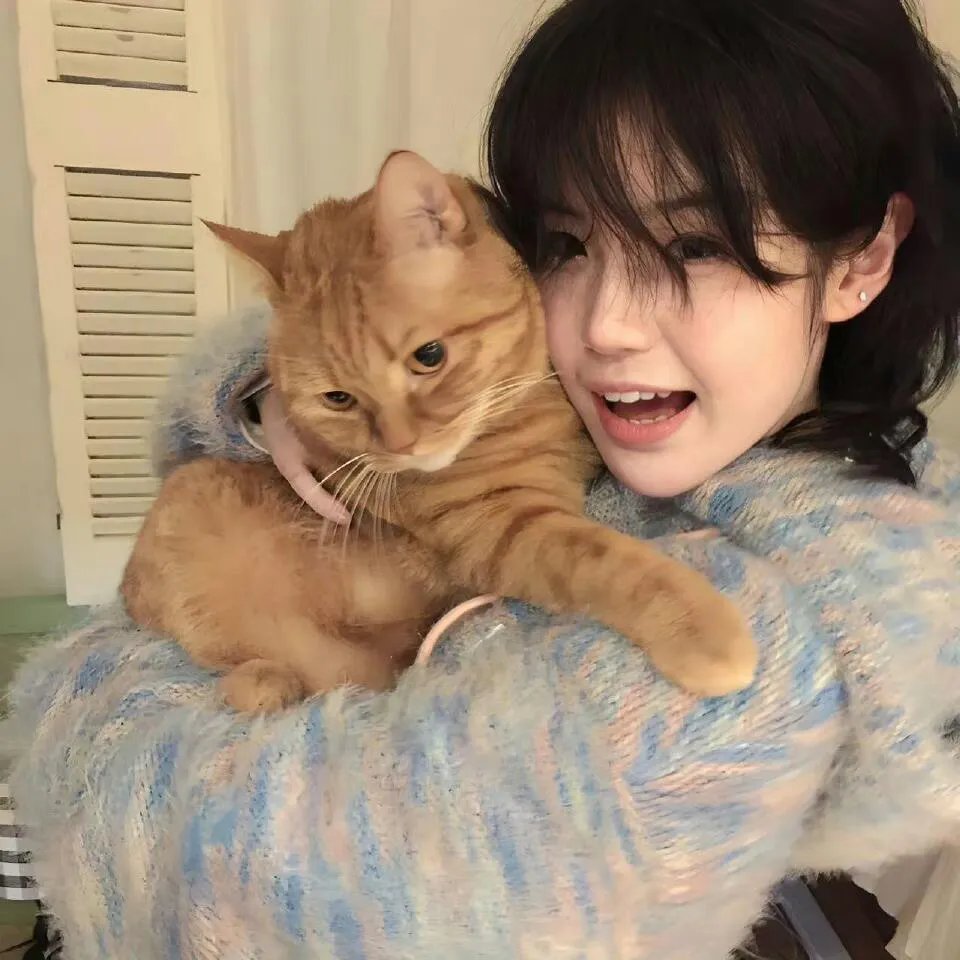 痞子无间道粤语