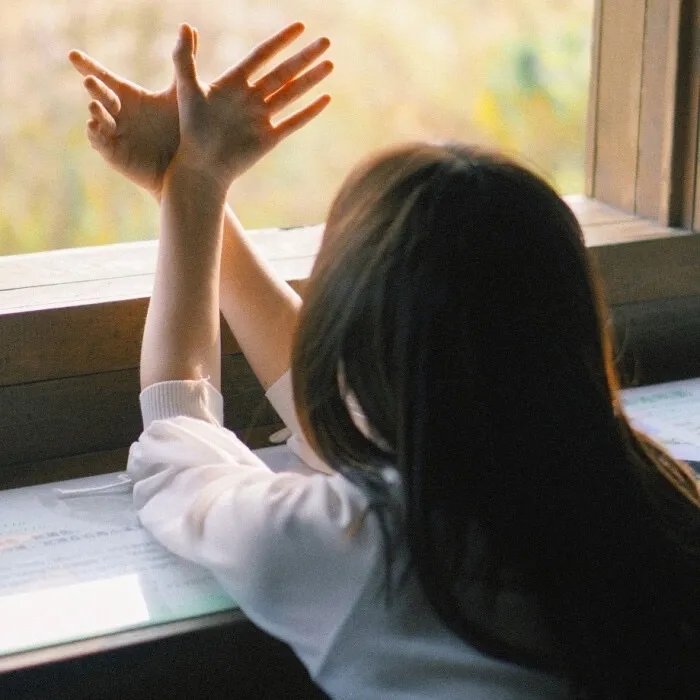 忍者神龟2：破影而出